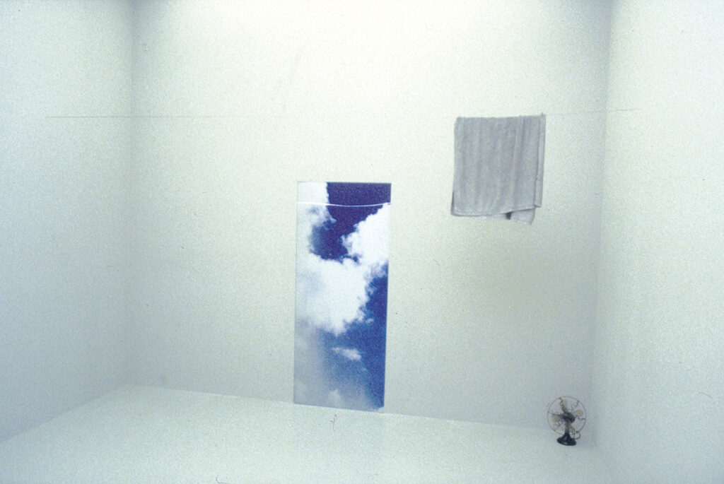 LUIS CAMNITZER
