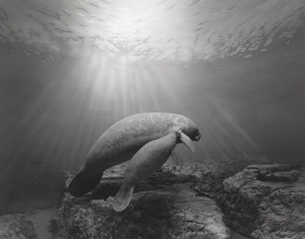 Hiroshi Sugimoto_1116