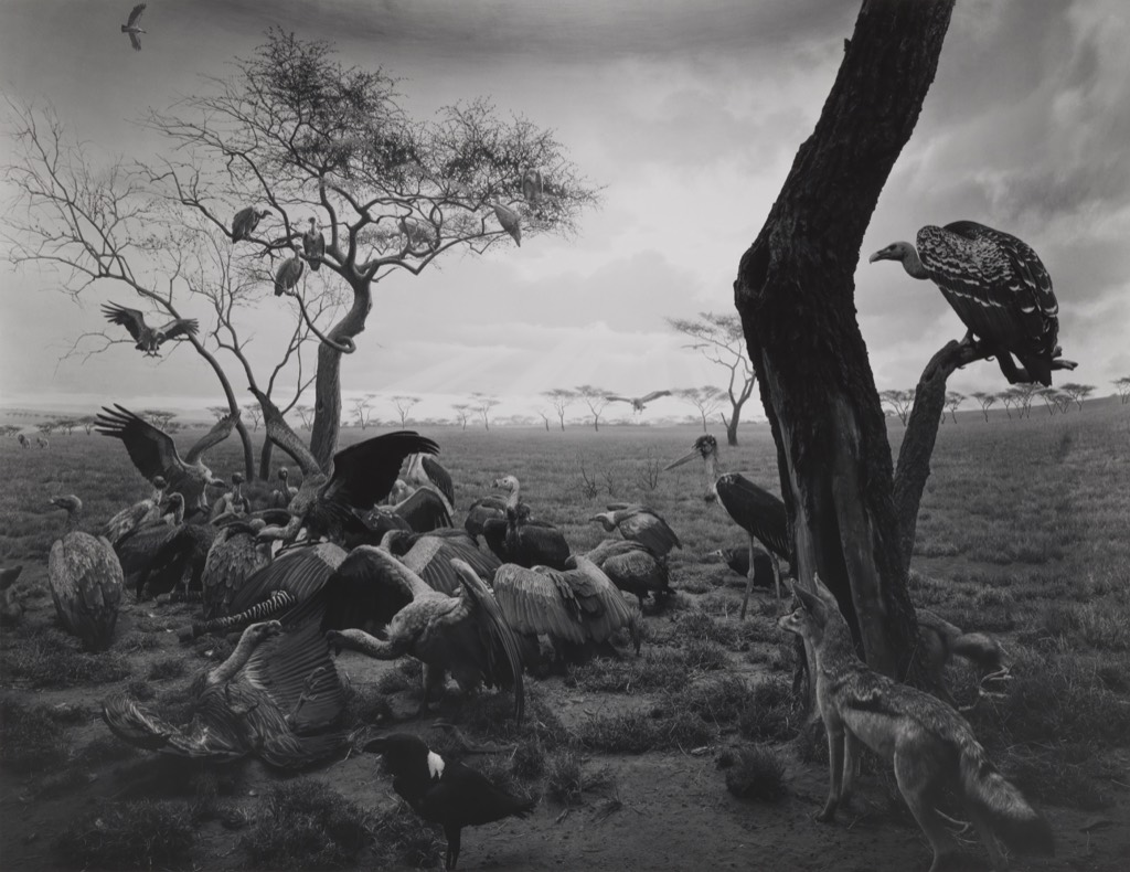 Hiroshi Sugimoto_13
