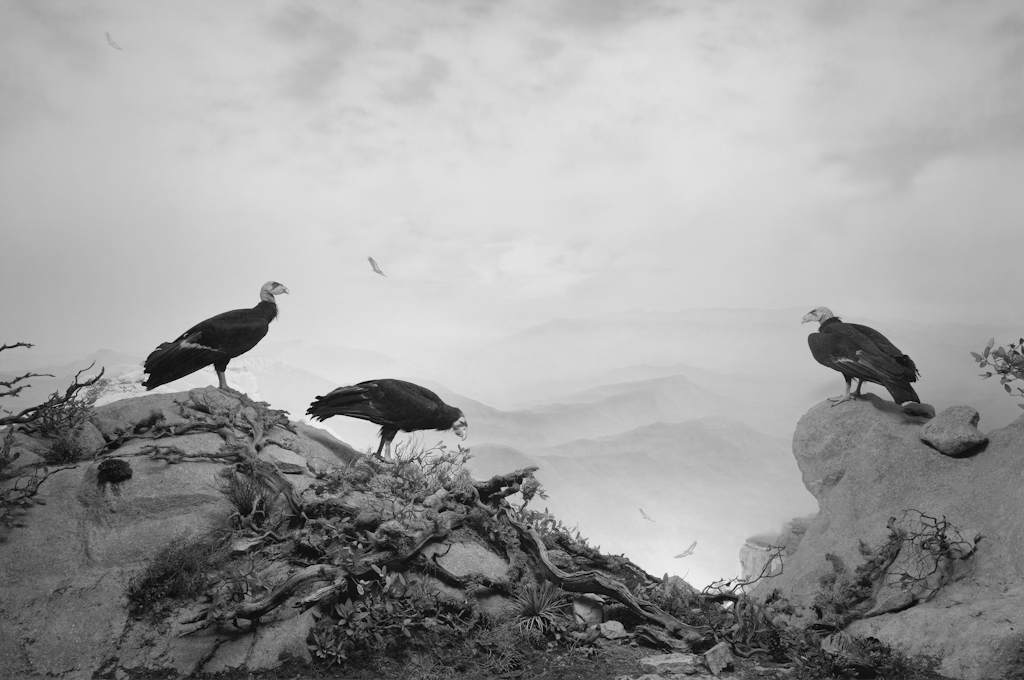 Hiroshi Sugimoto_14