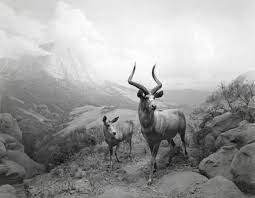Hiroshi Sugimoto_17