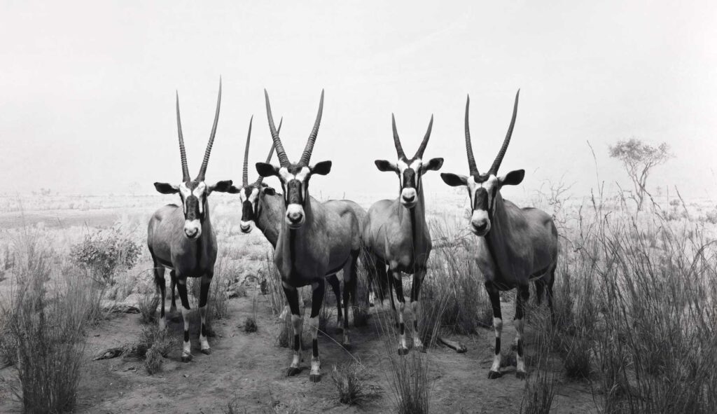 Hiroshi Sugimoto_18