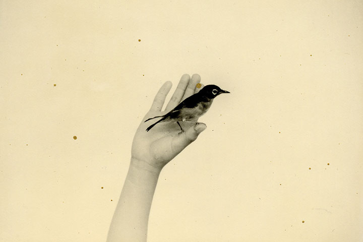Yamamoto Masao_1