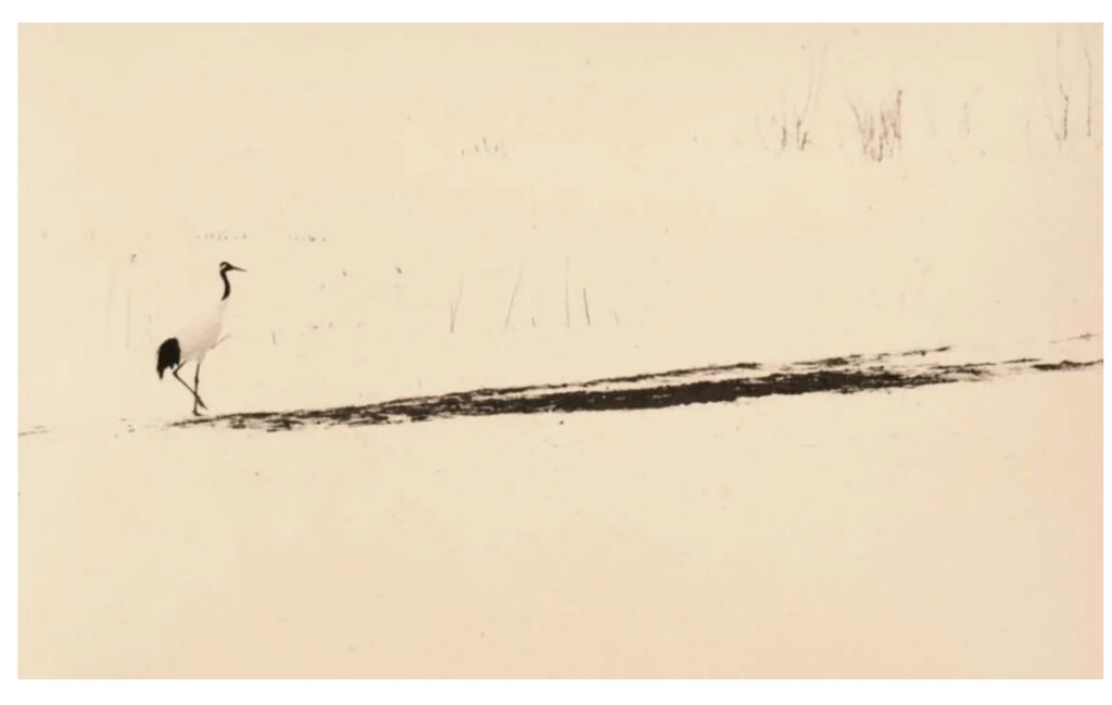 Yamamoto Masao_3