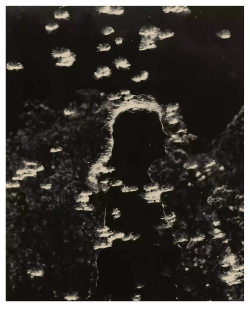 Yamamoto Masao_7