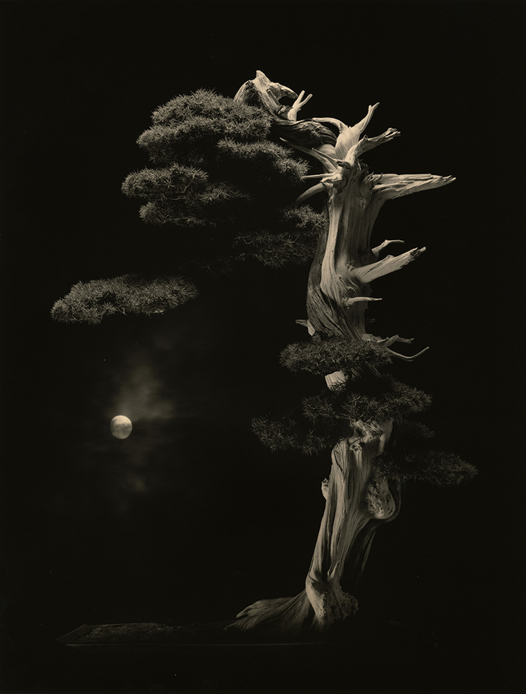 Yamamoto Masao_8