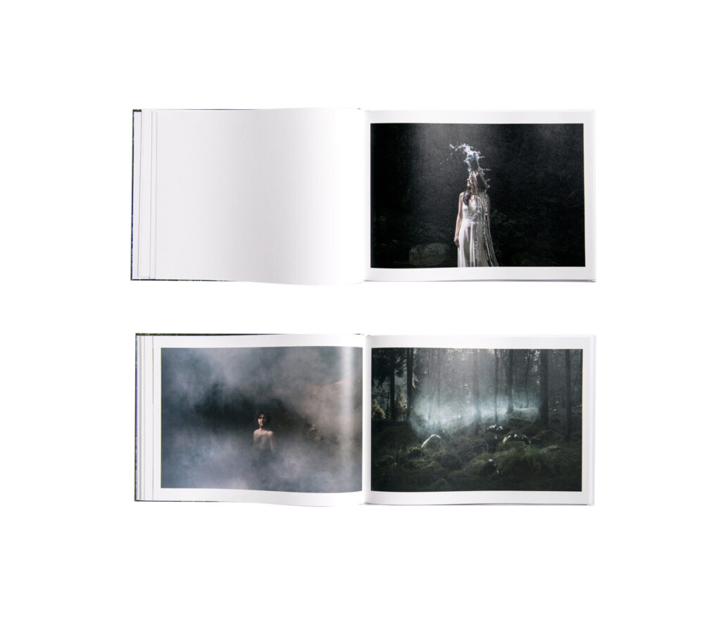 The novel of nature